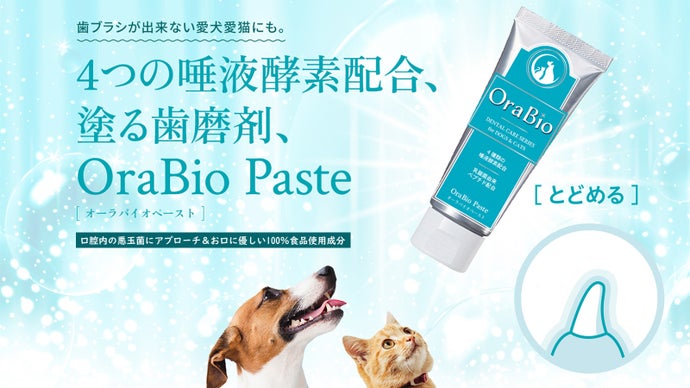 歯磨剤 orabio ペースト 犬 歯磨き オーラバイオペースト リペアウォーター セット マウスウォッシュ うがい不要 OraBio 犬用デンタルケア ペースト デンタルジェル ジェル 歯磨きジェル 歯磨きペースト はみがき 犬口ケア 犬歯 歯垢 歯磨き粉 歯みがき はっぴーDOG 公式 可愛い犬服屋