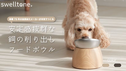 丈夫でこぼしにくい！大好きな食事の時間に使いたいこだわりのフード