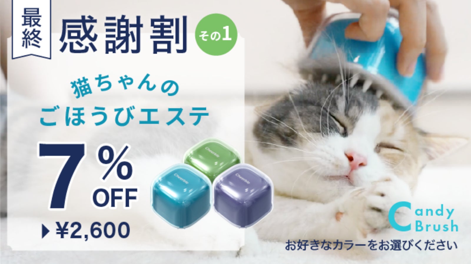 Makuake｜猫ちゃんへの至高のご褒美！夢見ごこちの極上エステブラシ