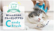 コスメ大好きさま①♡ありがとうございます❤ カスタムコーム(くし)猫ちゃんビーズ コスメ大好きさま①♡ありがとうございます❤ カスタムコーム