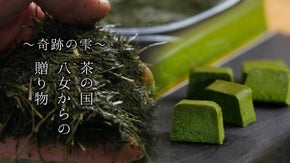 【八女伝統本玉露とテリーヌ】を囲むティータイムプロジェクト