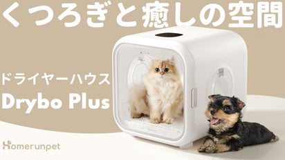 ペットの癒し空間｜お風呂後は寛ぎながら乾燥、ドライヤーハウスDrybo 