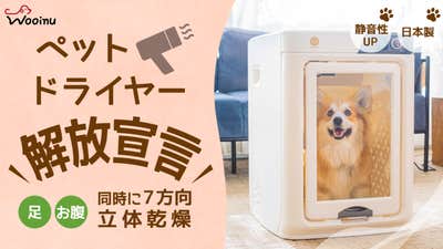 main_23952.png?version= main_23952.png?version=