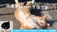 飼い主のいない猫を「地域猫」に！広島市の子供達が運営【命のつなぎば】支援活動