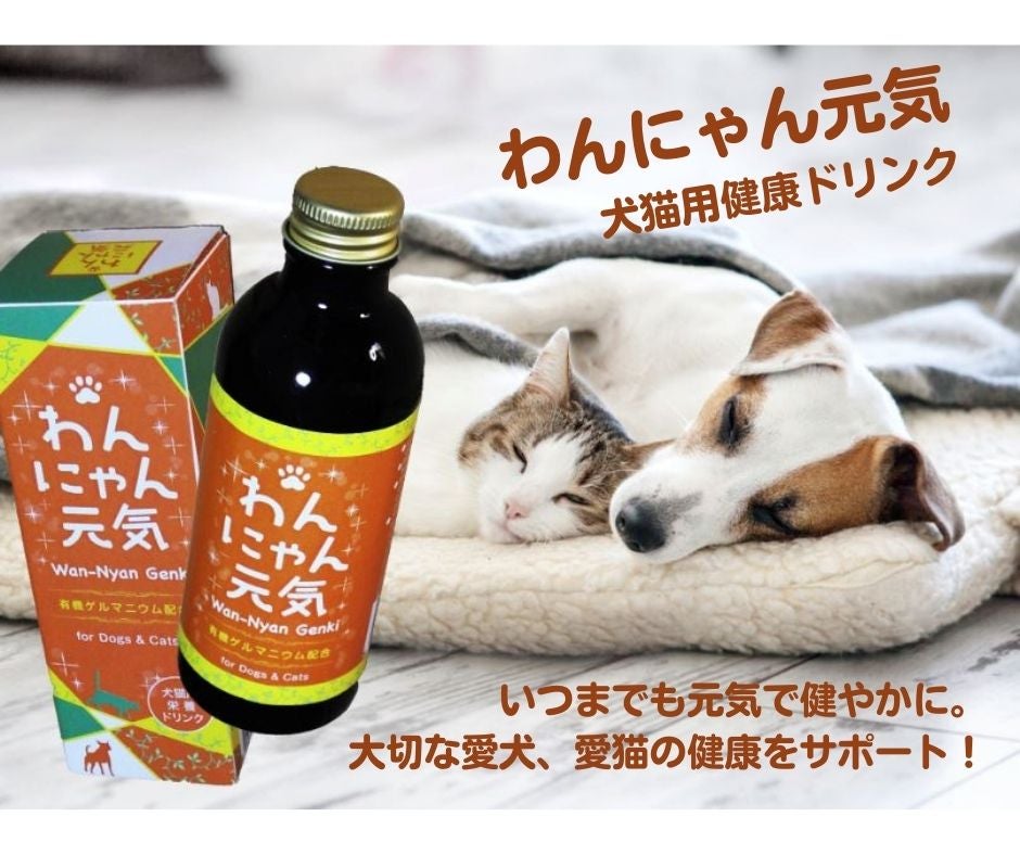 愛犬、愛猫の健康維持に】犬猫用の栄養補助ドリンク！ エサや飲み水に