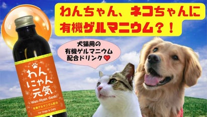 愛犬、愛猫の健康維持に】犬猫用の栄養補助ドリンク！ エサや飲み水に