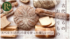 健康と食に気を遣う方へ！人と地球に優しいスペルト（古代）小麦のパンをお届けしたい