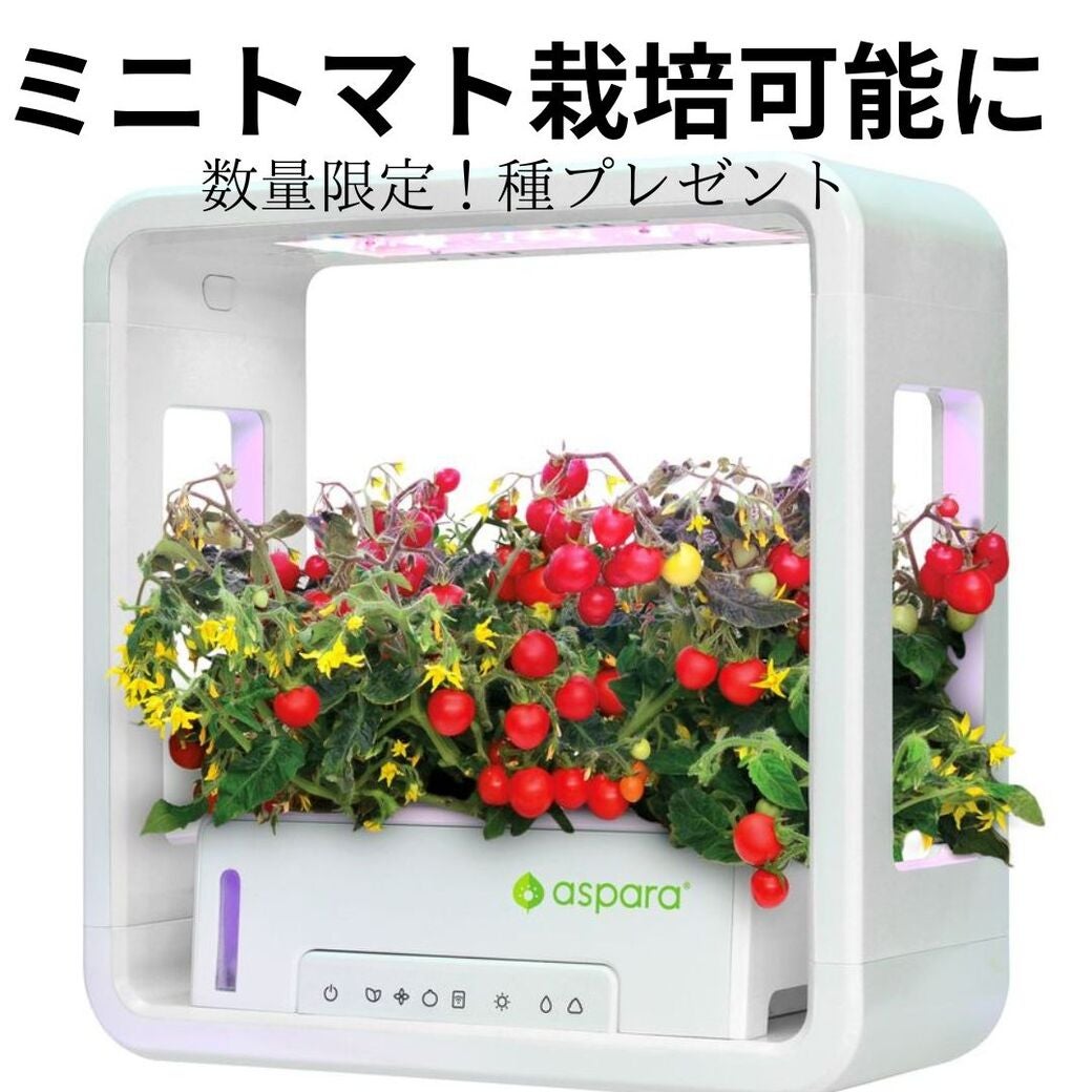 家庭菜園デビューに！特許技術でグングン成長！30日で収穫【室内用水耕
