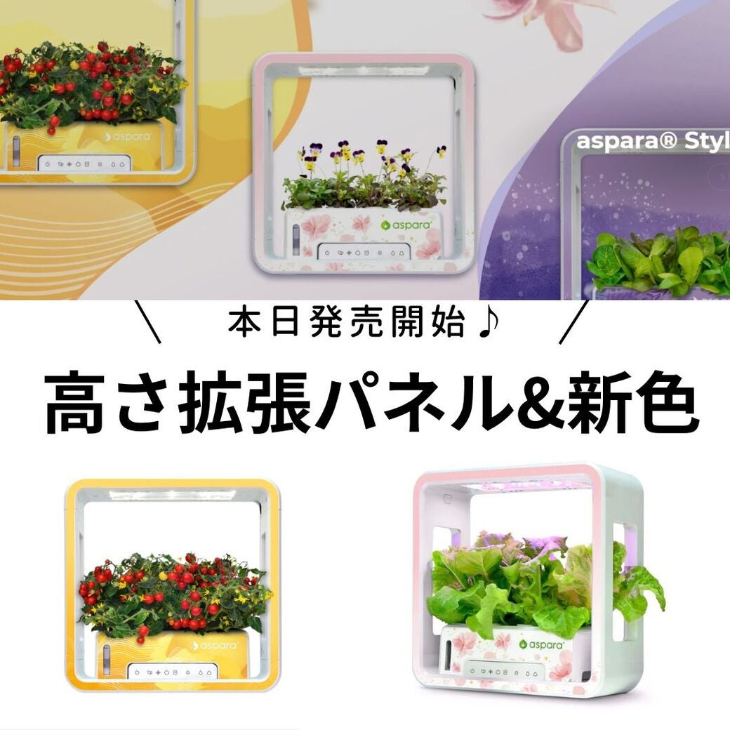 家庭菜園デビューに！特許技術でグングン成長！30日で収穫【室内用水耕