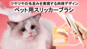 ブラッシングでペット気持ちいい！愛犬、愛猫うっとりの優しいペットブラシ「MP2」
