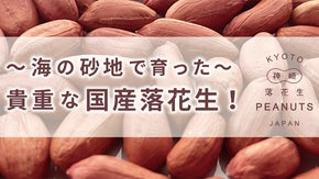京都で!?地元でも入手困難！国内流通量の約１割しかない希少な国産落花生