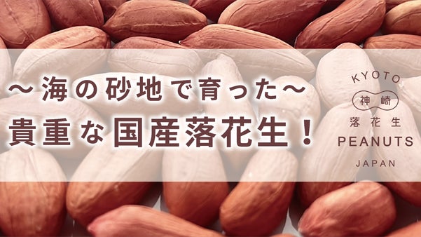京都で!?地元でも入手困難！国内流通量の約１割しかない希少な国産落花生