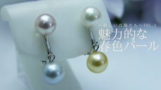 真珠本来の個性を楽しみたい　〜支援にも繋がるファンシーマルチカラーパール〜