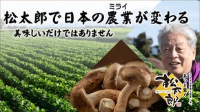 食物繊維を食べると日本の農業に革命が起きる。松茸と椎茸のハイブリッド松太郎