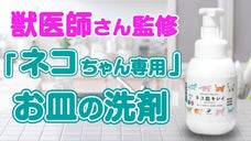 【獣医師監修】お皿のヌメリが取れる「猫ちゃん専用」食器洗剤 ネコ皿キレイ