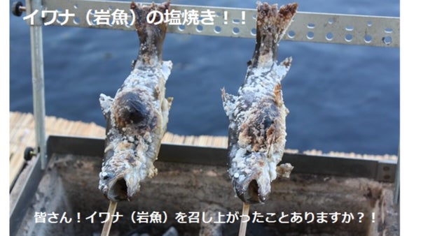 第2弾！「頭から丸かじりできる」希少なイワナの養殖PJ～卵の孵化から稚魚育成～