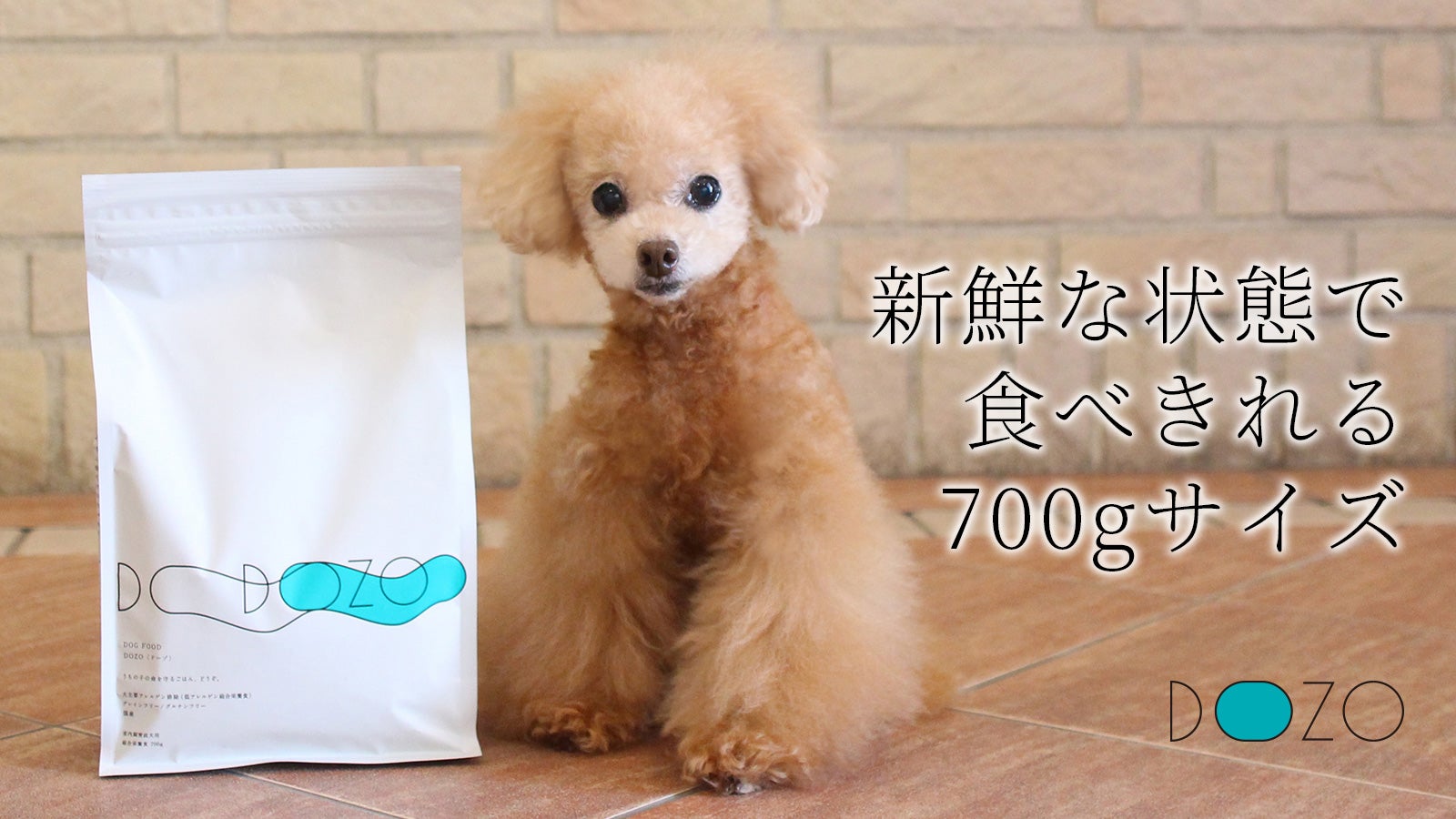 DOZO ドライフード 700g 低アレルゲン3袋 DOZO ドライフード 2袋セット