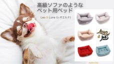 ペットの癒し場！高級家具のような寛ぎを与えるベッド【Leo＆Luna】