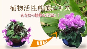 植物活性熊笹エキス「999サンキュー」を商品化して、 あなたの植物を元気にしたい
