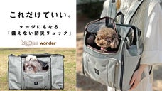 いつも使えて「もしも」に役立つ。ケージになるトランスフォーム型ペットリュック。