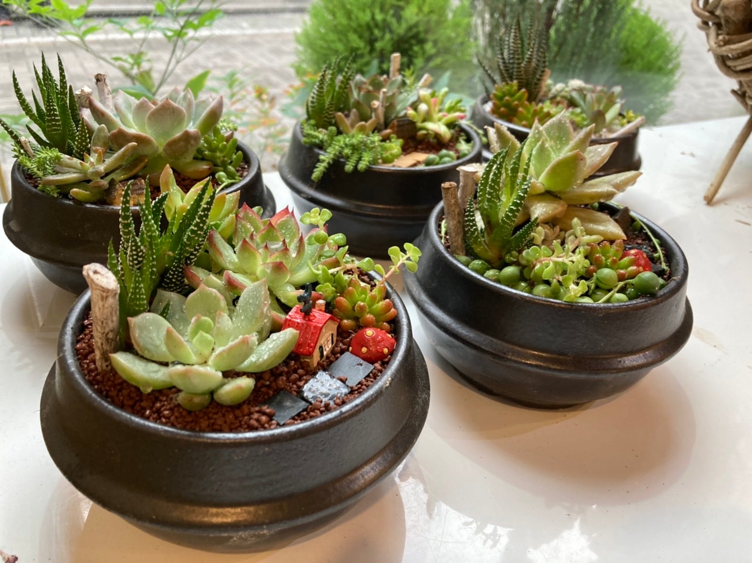 多肉植物×土鍋」であなただけの空間へ。部屋イメチェンの新しいカタチ