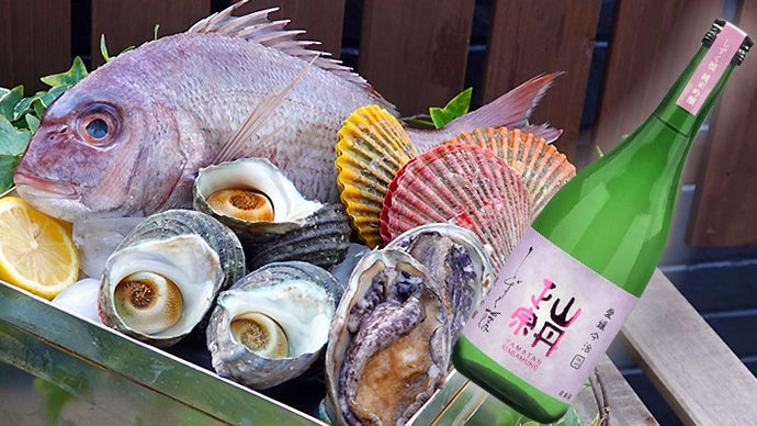 佐野せいじ 里山の四季 セット 9 /５００ 瀬戸内海の漁師YouTuberが挑む、地域おこしプロジェクト 海中熟成酒