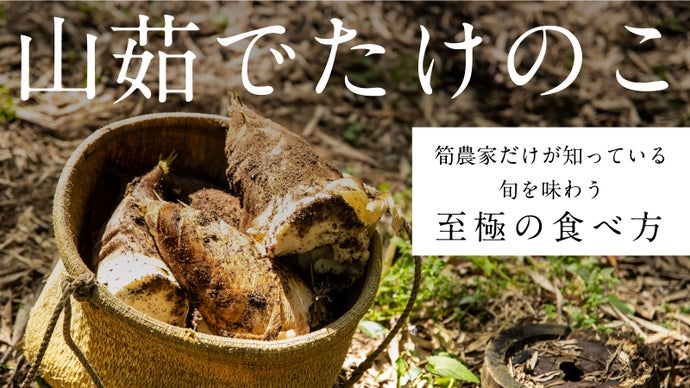おそらく、初めて出会うたけのこがここにある。旨味溢れる筍農家めし「山茹たけのこ」