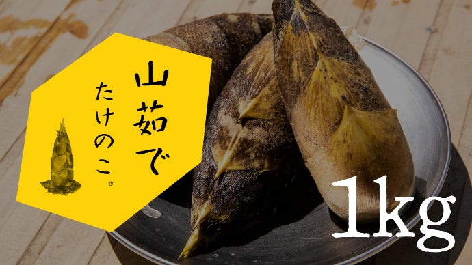 おそらく、初めて出会うたけのこがここにある。旨味溢れる筍農家めし