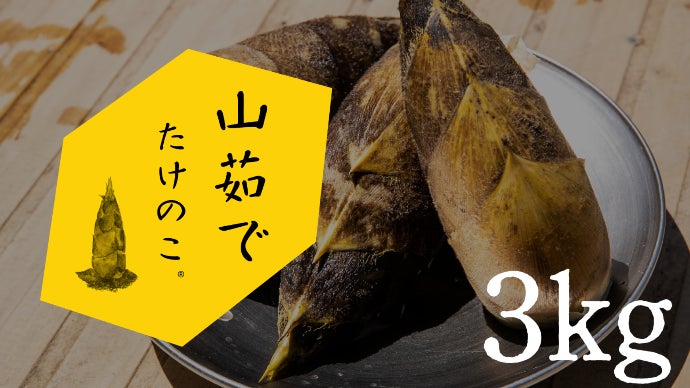 売れ筋介護用品も！ おそらく、初めて出会うたけのこがここにある。旨味溢れる筍農家 野菜