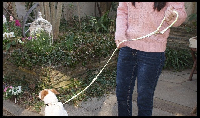 夜も安心！最新の反射材ファブリックを使用した犬用リード！RUMKA