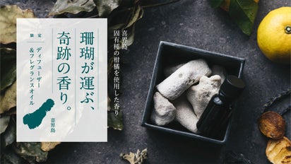 最終値引き！ディープスカルプクレンザー(120㎖)6本セット♪ 最終値引き！ディープスカルプクレンザー(120㎖)6本セット♪