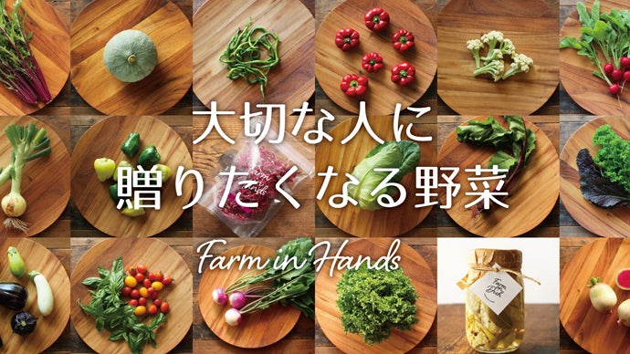 Farm in Handsのギフトセットを生み出す無農薬野菜の加工所を作ります