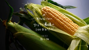 ひとさじ農場の100日とうきび【2022・陽の畑】北海道・朝もぎ直送とうもろこし