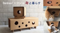 強化ダンボールの組立式家具で猫と楽しむ♪穴あきの猫マキベンチ＆猫マキスツール