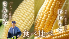 山梨県産絶品とうもろこし二種、橘田農家の「きみひめ」&times;「おおもの」の食べ比べ！