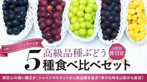 【宿泊施設・喫茶店のある果樹園】果樹オーナーにもなれる！高級希少ぶどうを直送！