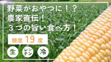 とうもろこしがおやつに大変身！その名も【スナックコーン】