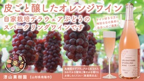 漆山果樹園第2弾　皮ごと醸したオレンジワイン！デラウェアスパークリング