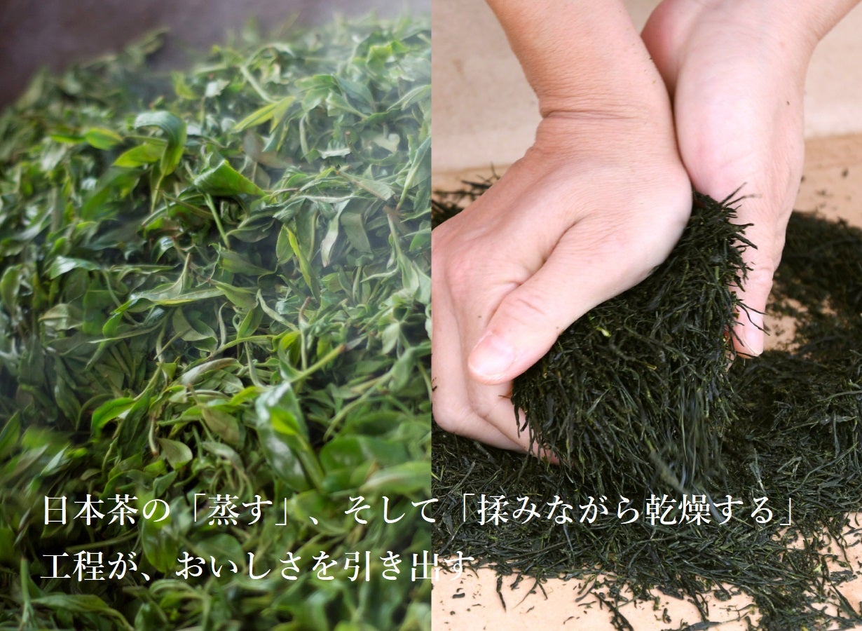 日本茶製法で引き立つバジルの風味。ハウス食品が挑戦する深蒸しバジル