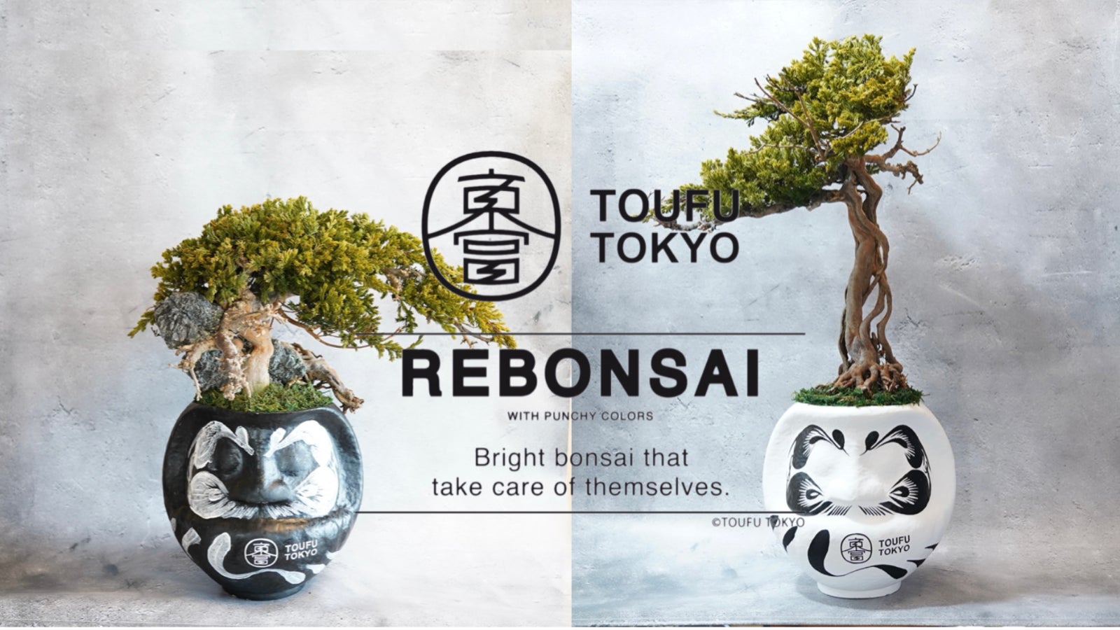 info@toufu.tokyo のプロジェクト｜マクアケ - アタラシイものや体験の