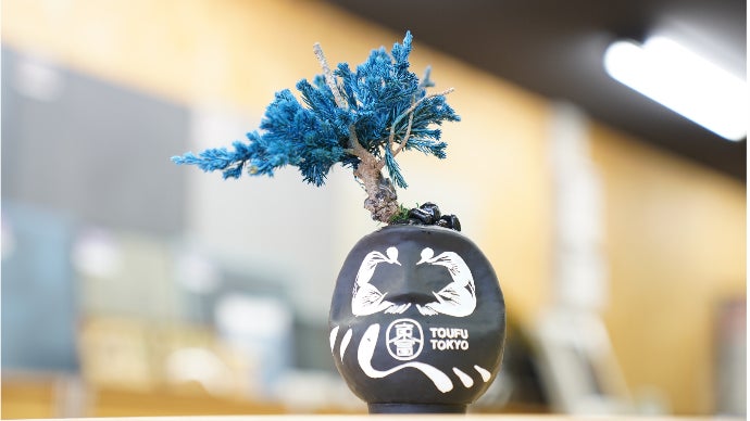 RE BONSAI「盆栽×達磨」メンテナンスフリーの本物植物をご自宅に