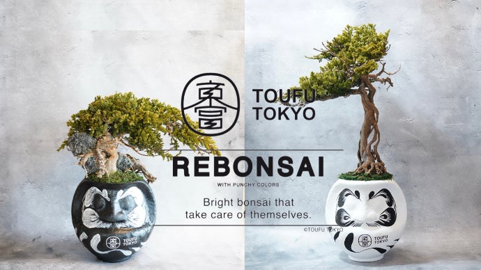 RE BONSAI「盆栽×達磨」メンテナンスフリーの本物植物をご自宅に