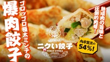 前代未聞の肉率54%！栃木熟成肉ゴロッゴロの「ニクい餃子」中毒必至の圧倒的肉感