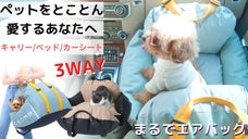【ペット用多機能カーシート】小さな家族も守りたいあなたに！COCOBOMB