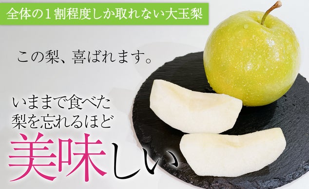 NO23 梨の玉切りまとめて3トン 引取り限定 2025年度終了】秀品・贈答用 二十世紀梨 10kg（22-32玉）【ひかり農園