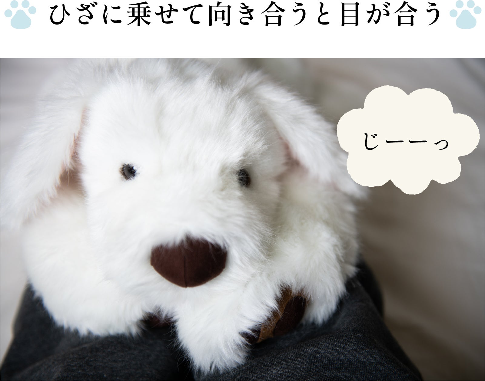抱きしめるたびに愛おしくなる！体重約3000g、命の重みを感じる