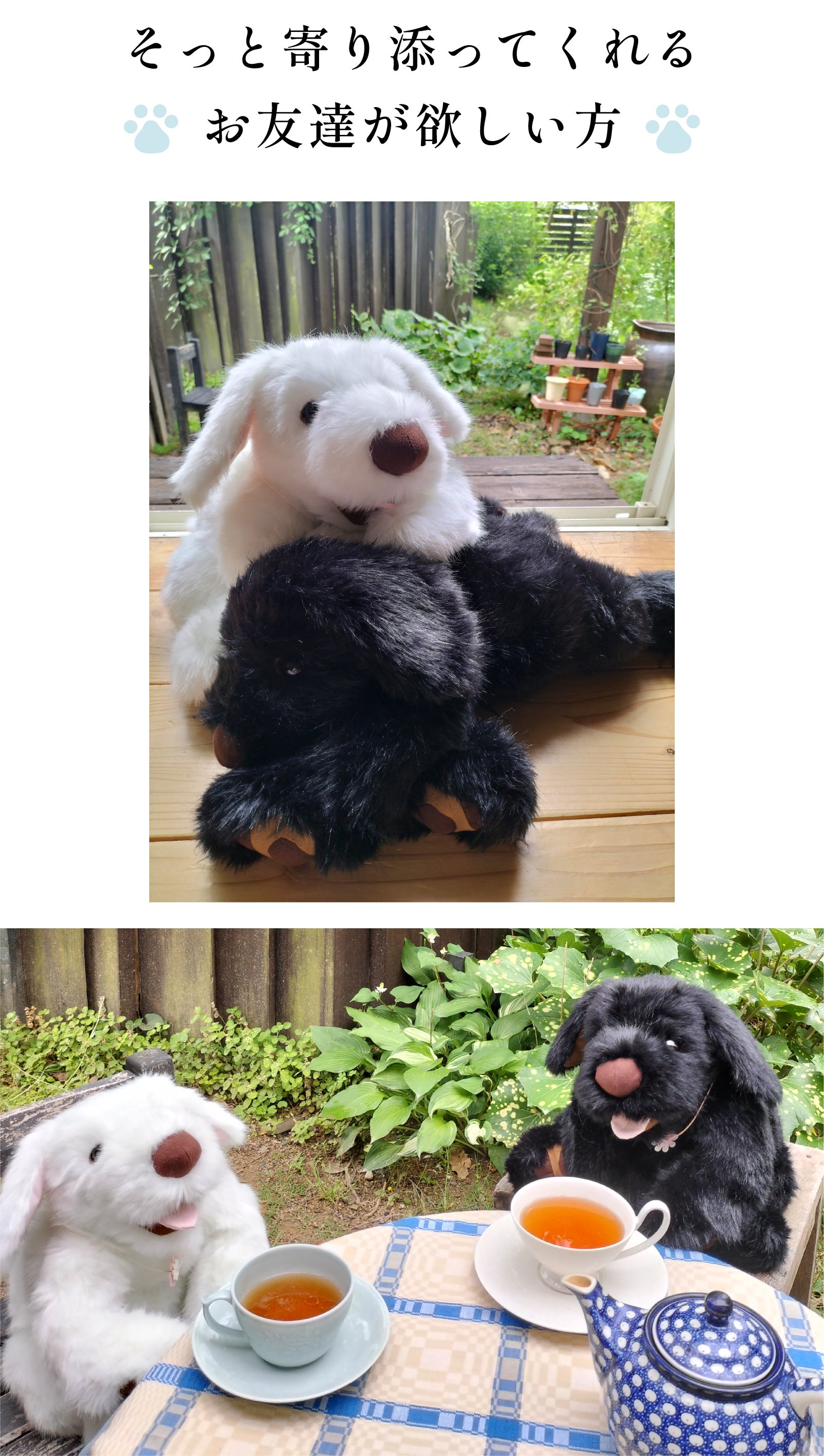 抱きしめるたびに愛おしくなる！体重約3000g、命の重みを感じる犬の