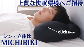 【シン・立体枕】朝まで極楽シリーズ第二弾！正しい姿勢で眠れて、超スッキリ！