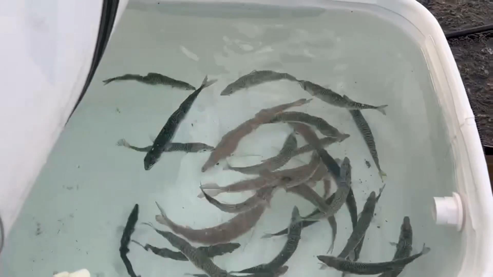 釣り人必見！！『釣果』と『鮮度』をもたらす。あなたの手元に海を再現