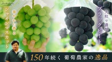 山梨県で150年続く葡萄農家「丸山さんのこだわり絶品ぶどう」